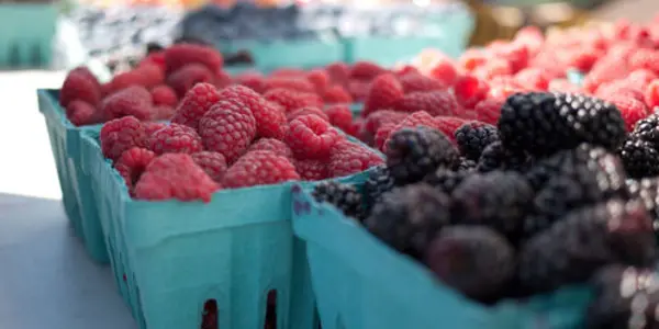Berry Hepatitis A Scare Leads To Calls For Imported Food Accountability