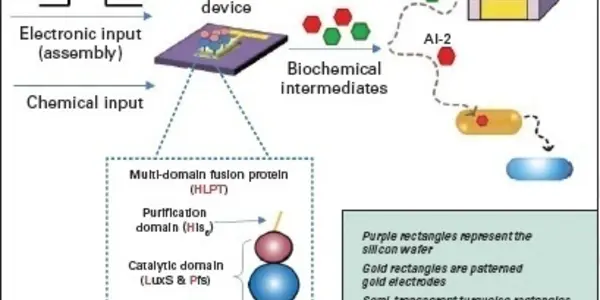 Cyborg Bacteria Can Defeat Bioterrorism