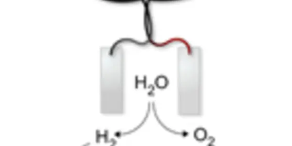 Bionic Leaf Uses Bacteria To Convert Solar Energy Into Liquid Fuel