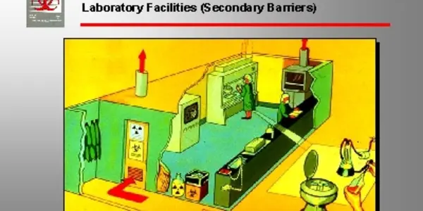 Make Your Own Pandemic - Mix Human And Avian Flu (But Do It In A Biosafety Level 3 Lab)