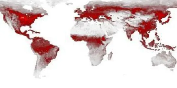 'Green Revolution' Has Changed How The Biosphere Breathes