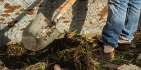Compostable Plastic Bags Create A Political Versus Science Conflict For European Policy Makers
