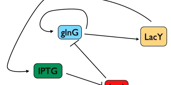 The Math Behind A Cell Switch