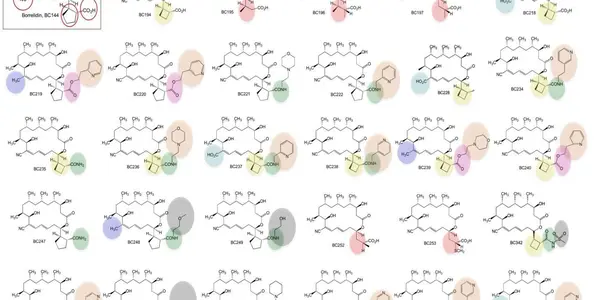Borrelidin Bacteria Analogs Are Drug Candidates Against Malaria