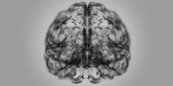 The Redundancy Of Freud's Divide Between Psychiatry And Neurology