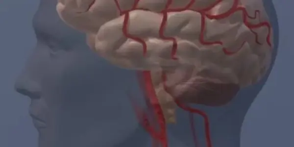 Beta Blockers Don't Cause Depression