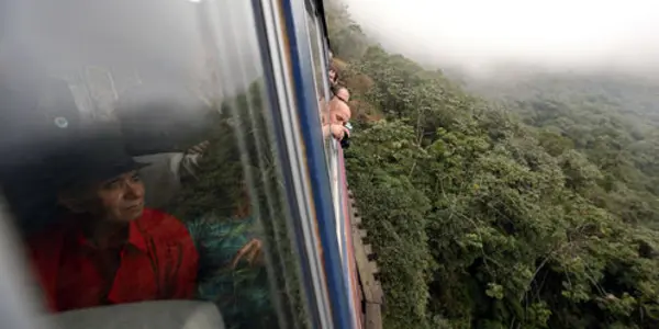 How To Save Brazil’s Atlantic Forest On A Shoestring Budget
