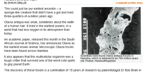 Earliest Animal Fossils? Uhhh, No