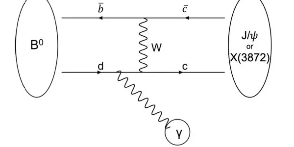Belle Puts Limit On B Decays To X Plus Photon