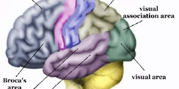 A Science Of Human Language - Part #5