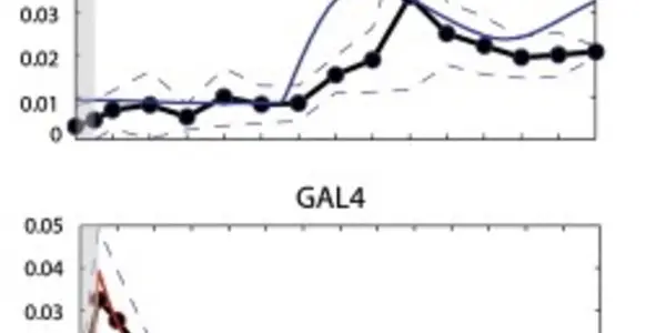 Systems Biology Strikes Gold?