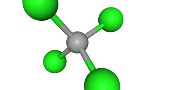 EPA Rolls Back TSCA Encroachment By The Biden Administration