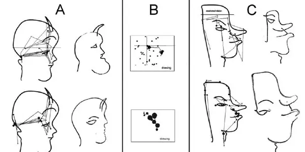 Even For Non-Artists, Brain 'Connects The Dots' When Drawing Faces