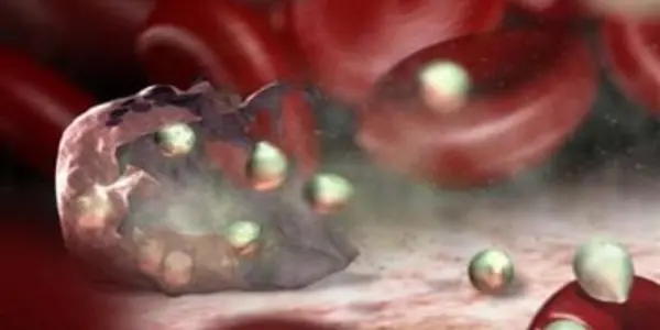 Carbohydrate 'Assembly Line' May Boost Vaccine And Medicine Production