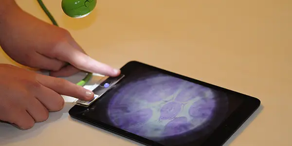 Cell Phone Morphs Into A Portable Science Lab