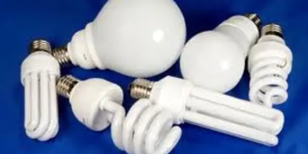 Mercury poisoning of Chinese factory workers making CFLs a concern