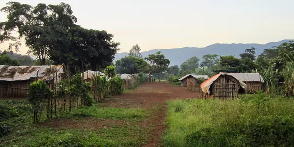Transition From Hunter-Gatherer To Agriculture: Population Replacement Or Culture Change?