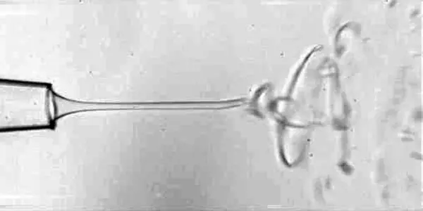 Go With The Co-Flow To Stabilize Chaotic 'Whipping' In Microfluidic Jets