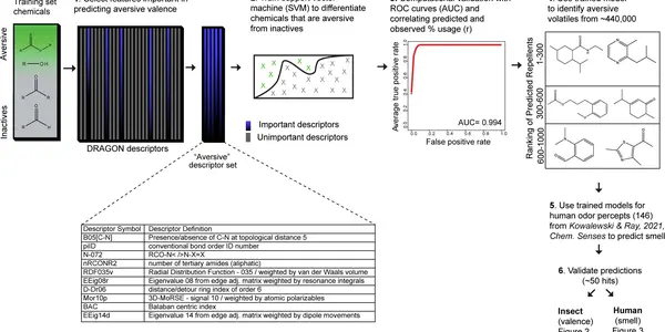 Cheminformatics: NIH Funds A More Scientific Mosquito Repellent