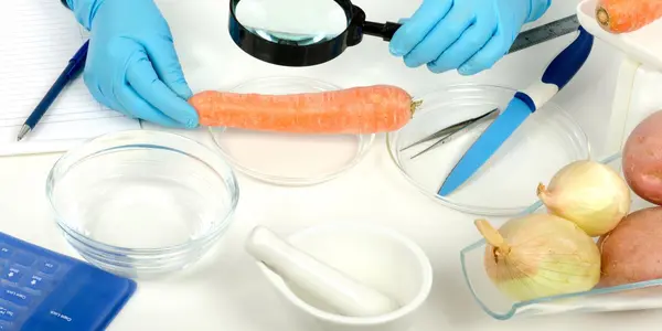 Hate BPA? Scared Of BPS? Chitosan May Be Your Food Packaging Of The Future