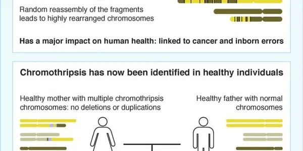 Chromothripsis: Birth Defects May Be Caused By Chromosome Shattering
