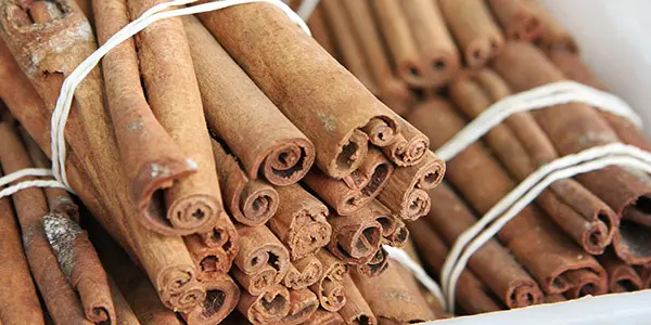 For E. Coli Outbreaks, Cinnamon Spice Makes Everything Nice