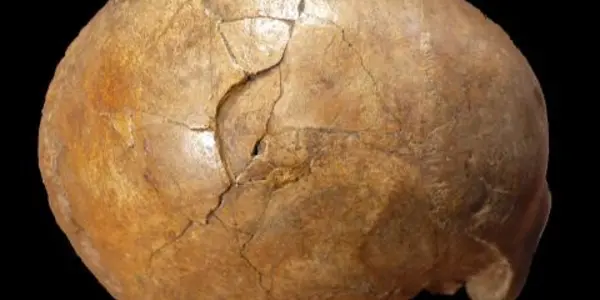 Violent Deaths In The Paleolithic
