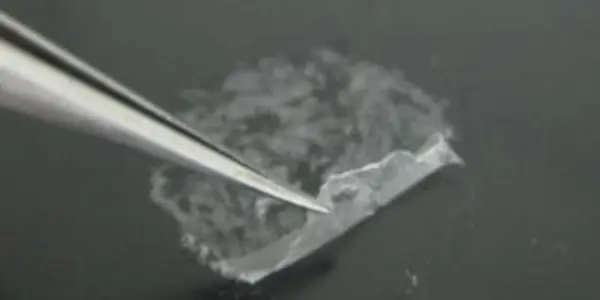 Cling Wrap For Burn Wounds: Biomaterial Nanosheets Coat Tricky Burns, Blocks Out Infection