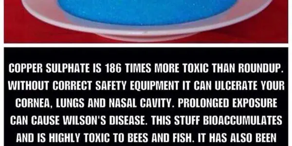 Wash Your Hands, Organic Restaurants, And Quit Giving People Norovirus