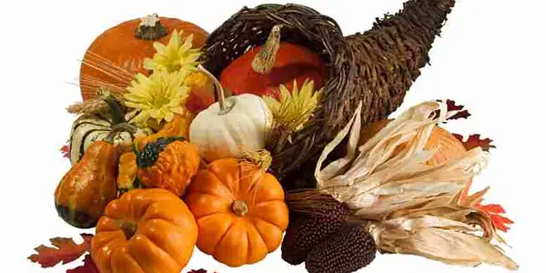 Science Shows You How To Make A Better Thanksgiving Turkey