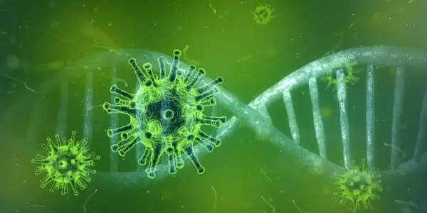 Are Travel Bans During Infectious Disease Outbreaks Effective?