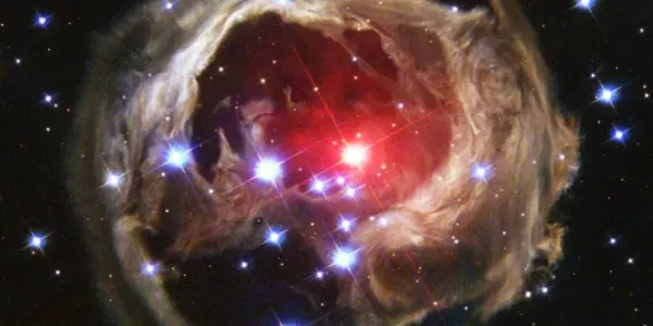Cosmic Embryo #1: My Erdös Number Is 2i