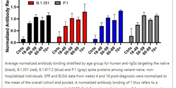 COVID-19: Does Natural Infection Or Vaccination Lead To More Protective Antibodies?