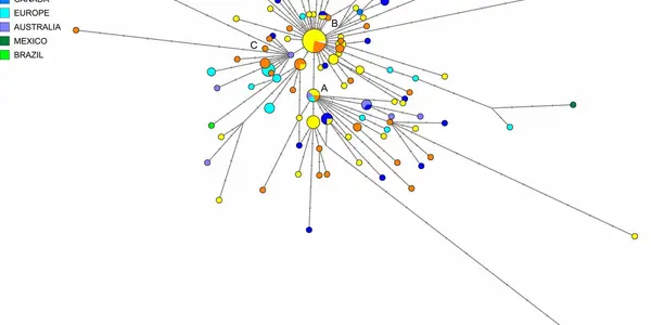 Wuhan To Europe To America - The Evolutionary Paths Of SARS-CoV-2