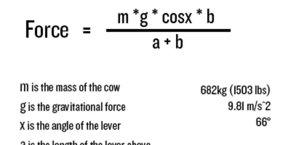 Weekend Science: Cow Tipping Debunked For A New Generation