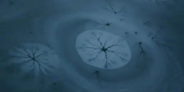 Understanding Ice