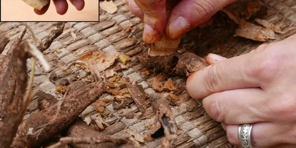 Ancestors Of Humans Recycled Flint Tools For These Very Specific Purposes