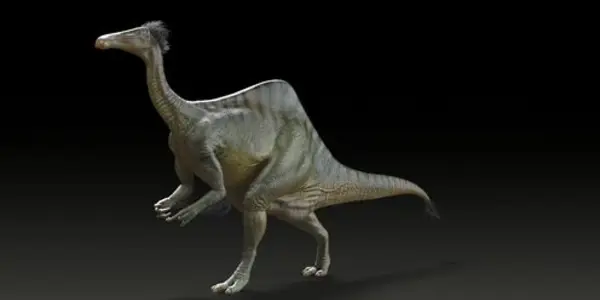 Deinocheirus Mirificus Puzzle Solved, Revealing The Weirdest-Looking Creature To Walk The Planet