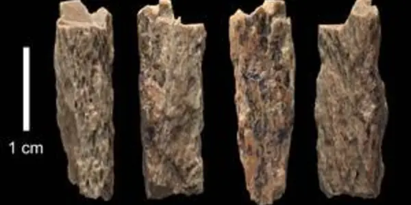 Denisova 11 - Girl Had A Neanderthal Mother And Denisovan Father
