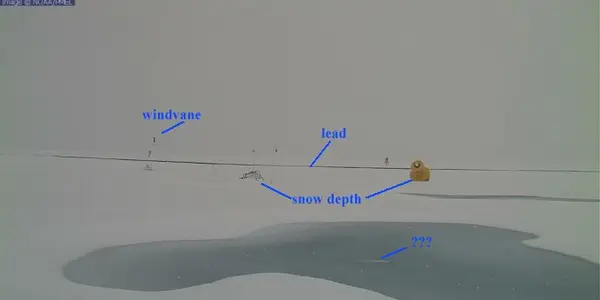 Arctic Ice July - Update #5