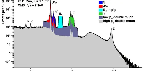Recent Results Of The CMS Experiment