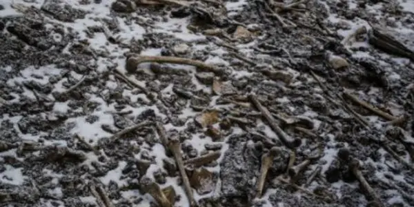 Mediterranean Migrants in India: What DNA From The Skeletons of Roopkund Lake Reveal
