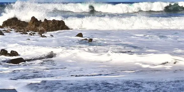 Bacteria's Role In Long-Term Ocean Carbon Storage