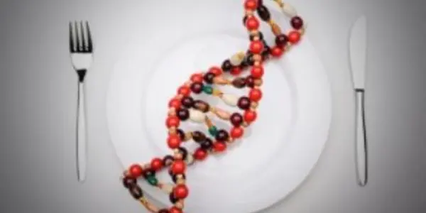 Why Does The Public Worry About GM Foods But Embrace Biotech Medicine?