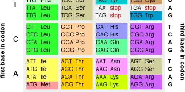 Rewriting The Genetic Code