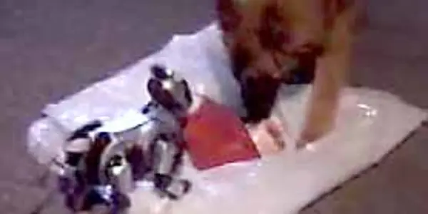 Dogs And DoggieBots - An Encounter