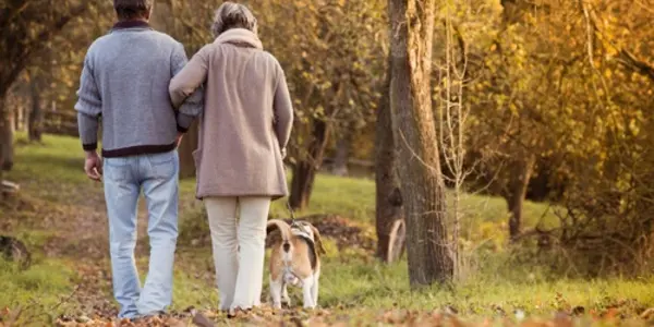 Dog Walkers: Because It Makes Them Happy