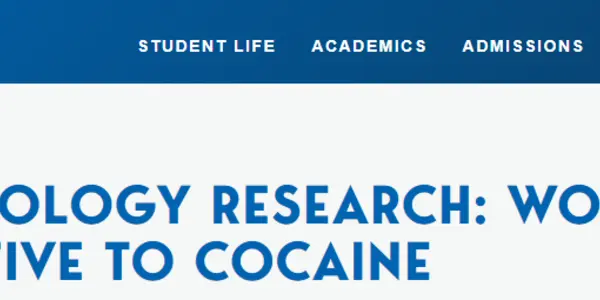 Estradiol Hormone Used During Menopause Linked To Cocaine Addiction
