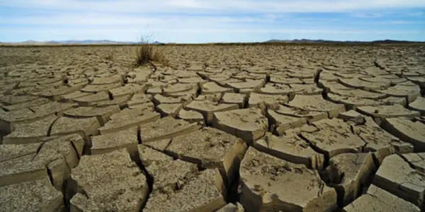 Humanity Is Already 44 Percent Doomed - Paper