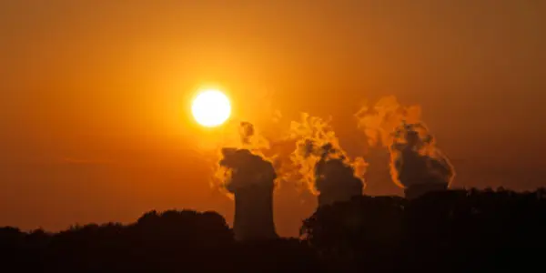 Britain Is Burning Wood From US Forests To Meet Renewables Targets